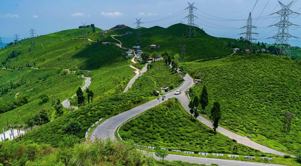 Tea Trails and Thunderbolts: The Ultimate 5-Day Chitwan to Darjeeling Expedition