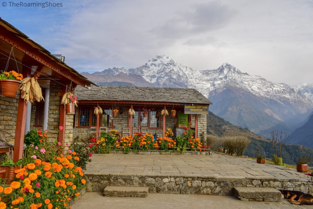 Experience Ghandruk: Where Culture Meet The Himalays