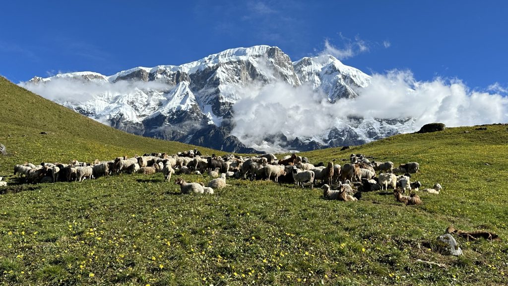 Kori Danda and Kapuche Lake Trek: 6 Nights / 7 Days Overland Package